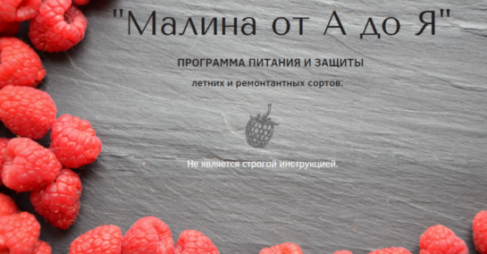 Обложка методички по малине