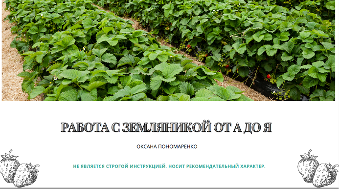 ОБложка по землянике с надписью мини
