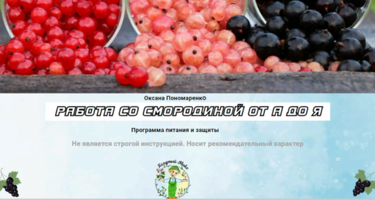 Обложка - смородина. Программа питания и защиты смородины.