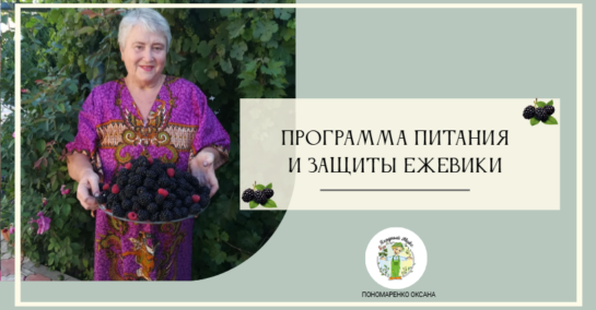 Титульный лист Программы питания и защиты ежевики. Мама
